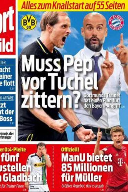 德国《图片报》报道