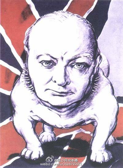 美国人作品。邱吉尔，斗牛犬，忠诚，勇敢。