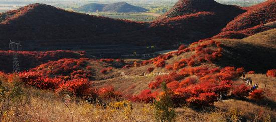 舞彩浅山风景区是京郊旅游胜地。