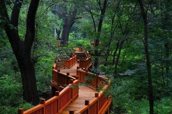 参赛选手将途经健身步道，穿越崇山峻岭。