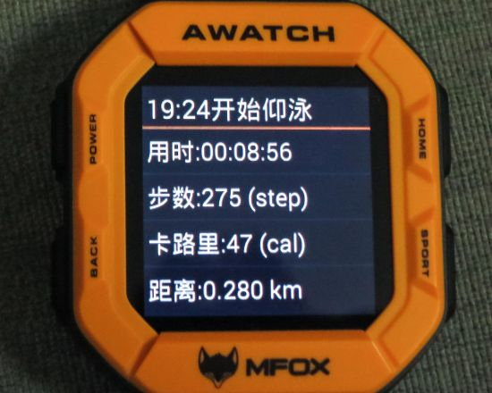 图19　[仰泳] 280米，275划，消耗47卡路里，用时8分56秒