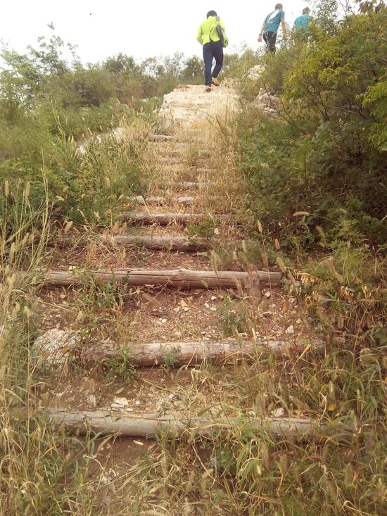 赛道中木阶栈道。