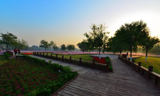 奥林匹克森林公园。