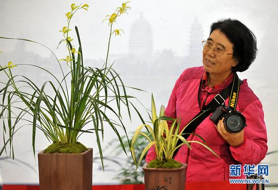 　　9月29日，第四届中国兰花大会在北京房山区长阳镇兰花文化休闲公园开幕。图为云南大理城市展区一盆价值百万的孤品兰花吸引观众驻足欣赏。新华网 陈竞超 摄