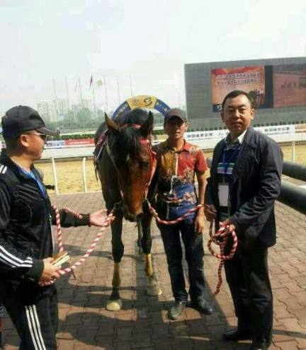 马主安志强拉头马
