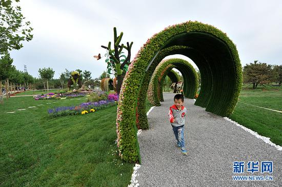 9月29日，第四届中国兰花大会在北京房山区长阳镇兰花文化休闲公园开幕。新华网 陈竞超 摄