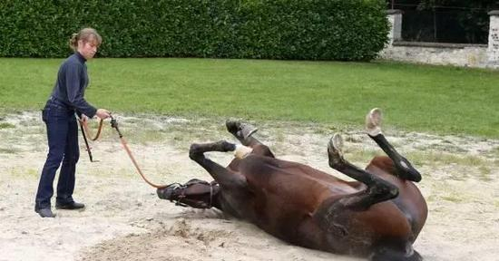 （▲Dan Abraham拍摄）