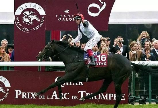 （▲选自DailyMail）