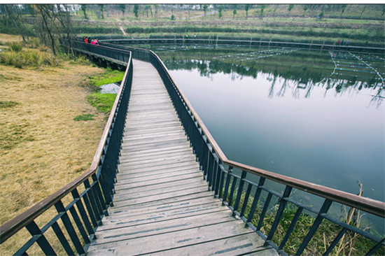 白鹭洲湿地公园。