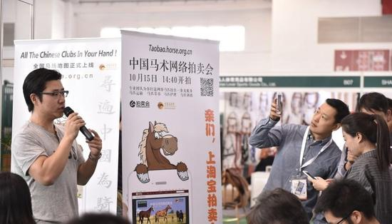 6号拍品，新丝路马业的汗血马Sparkle侧面照