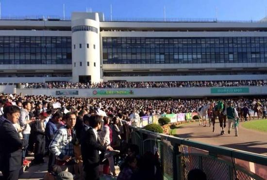 （▲亮相圈，前方记者Wendy供图）