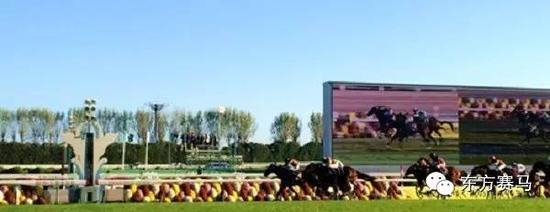 （▲冲刺照，前方记者Wendy供图）