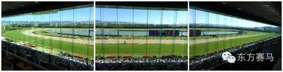 （▲京都竞马场的马主席位，前方记者Wendy供图）