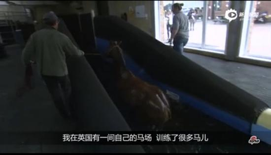 欧文和他的马儿