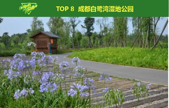 白鹭洲湿地公园。