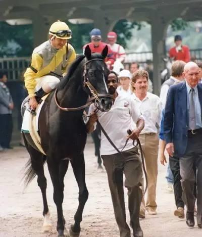 著名赛马Sunday Silence