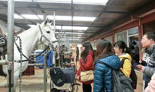图：北京林业大学同学们参观马房