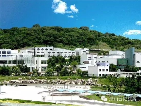 普陀淡风林度假村。