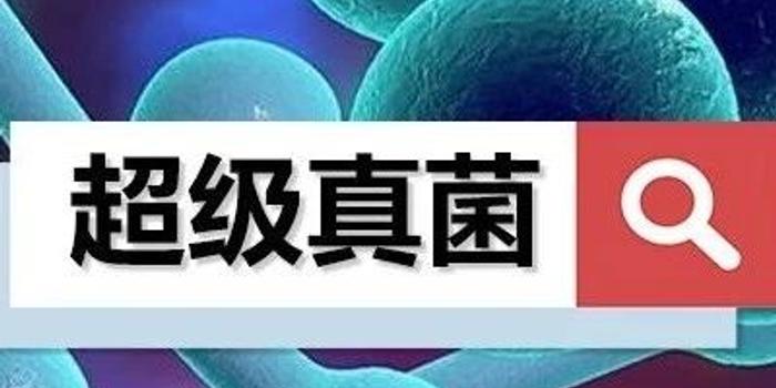 追踪 | 中国18例确认感染超级真菌?国家卫健