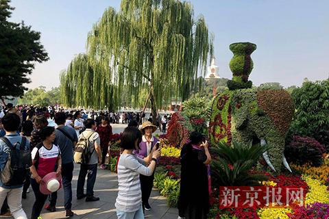 公园南门“太平有象”主题花坛吸引了不少游客合影留念。