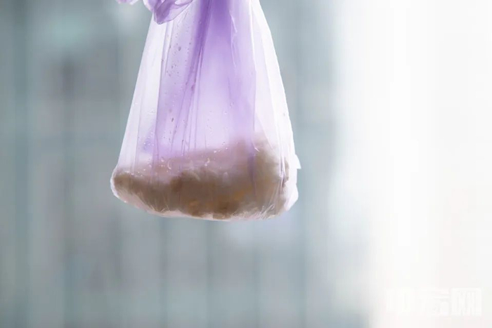 中宏网记者 富宇&nbsp;摄