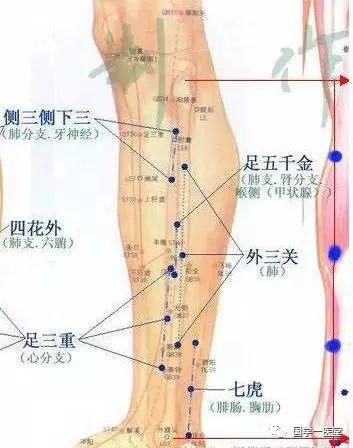 董氏奇穴-经典68穴,值得收藏! 董氏奇穴-经典68穴,值得收藏!