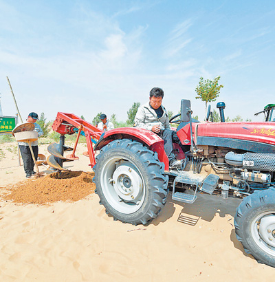 在库布其用虹吸种植法植树。本报记者 吴 勇摄