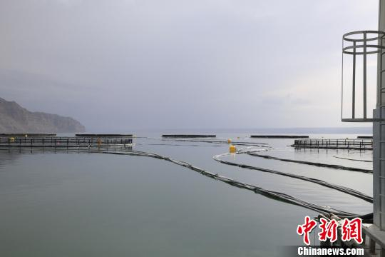 图为青海龙羊峡库区养殖场。　张添福　摄