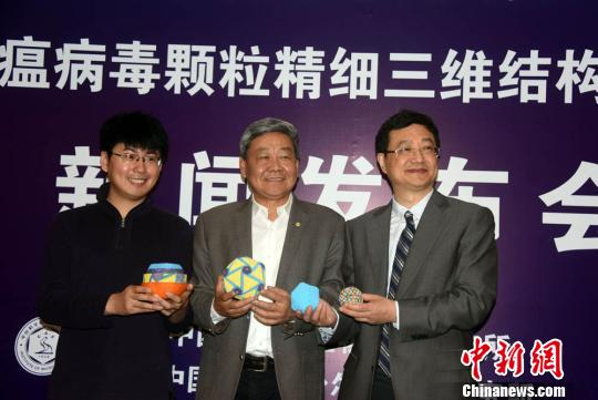 饶子和（中）、王祥喜（左）、步志高在发布会上展示非洲猪瘟病毒研究相关模型。　孙自法 摄
