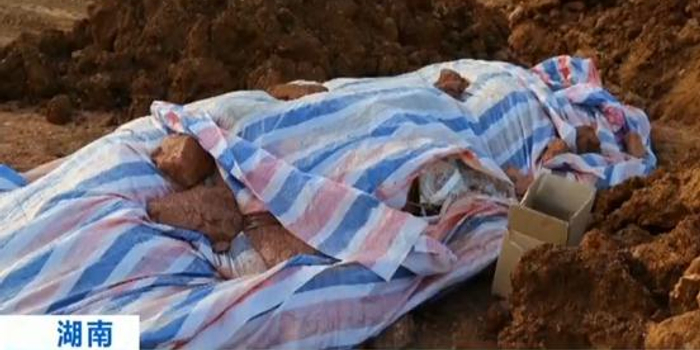 跨省倾倒300吨垃圾 8名被告人被判犯污染环境