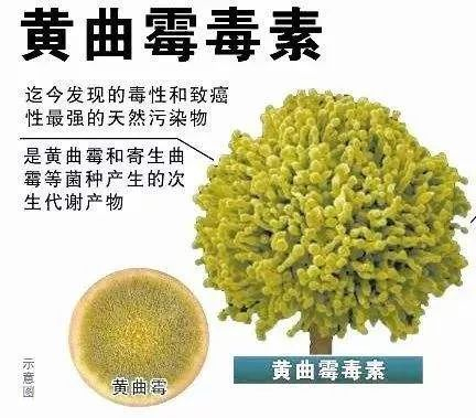 ▲图片来源网络