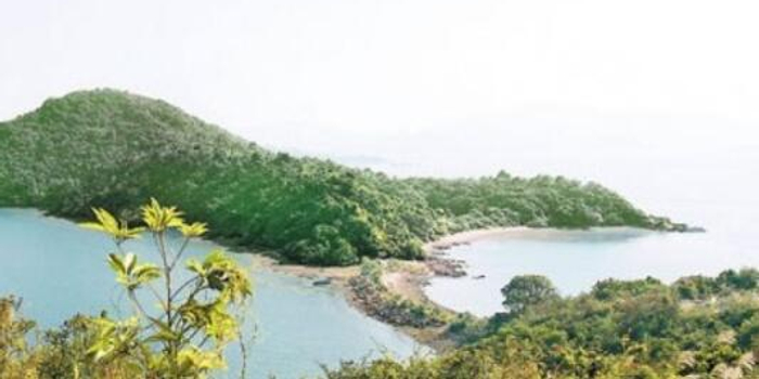 香港马屎洲附近一架小型飞机坠机 机长受伤被