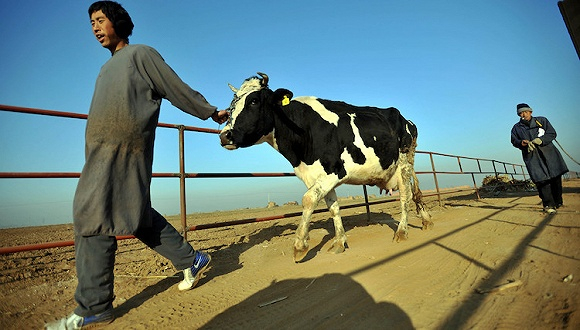 图片来源：视觉中国