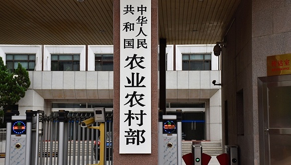 图片来源：视觉中国