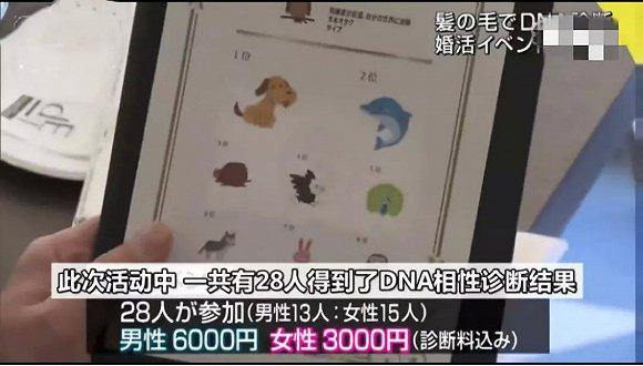 （东京都某大型婚介所进行DNA匹配测试）