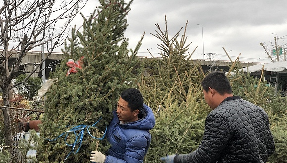  图片来源：张钦