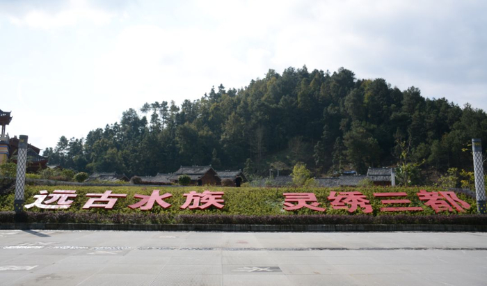 马尾绣 | 云隐三都 手作时光|水族|背带|妇女|水寨|技艺_新浪新闻