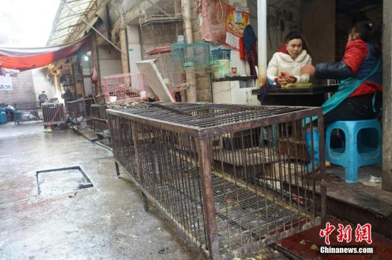 　　资料图：2015年2月11日，贵阳市发现1例人感染H7N9禽流感病例，部分活禽交易场所检测出H7N9禽流感病毒核酸呈阳性。图为休市后商贩们在火炉旁闲聊。 中新社发 贺俊怡 摄