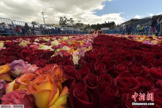 　　当地时间2018年7月14日，厄瓜多尔Tabacundo，当地一座金字塔形状的土堆上放置了超过5万朵玫瑰，以此来打破吉尼斯世界纪录。