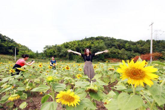 “含绿量”芜湖：青山碧水共为邻