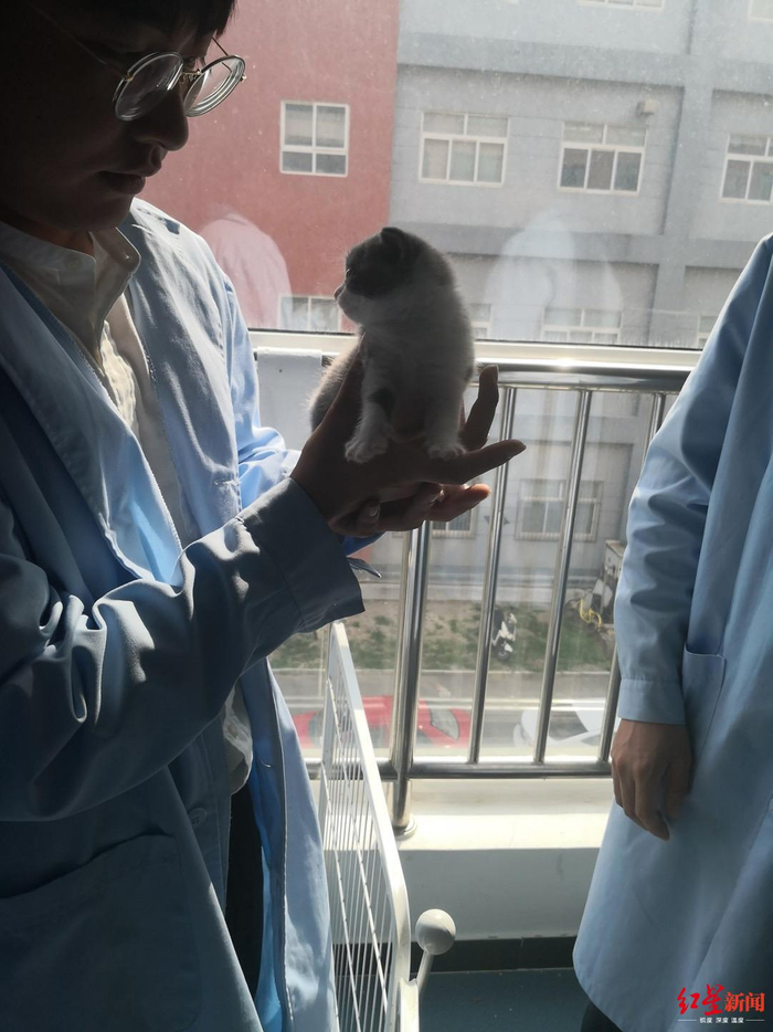 黄雨和克隆“大蒜”/受访者供图