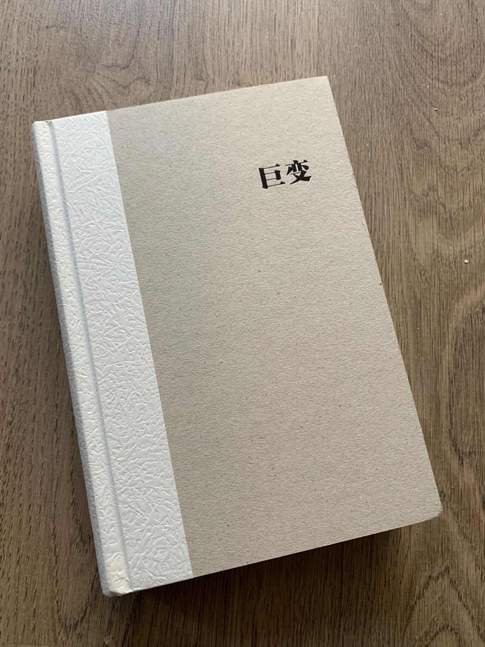 《巨变：当代政治与经济起源》