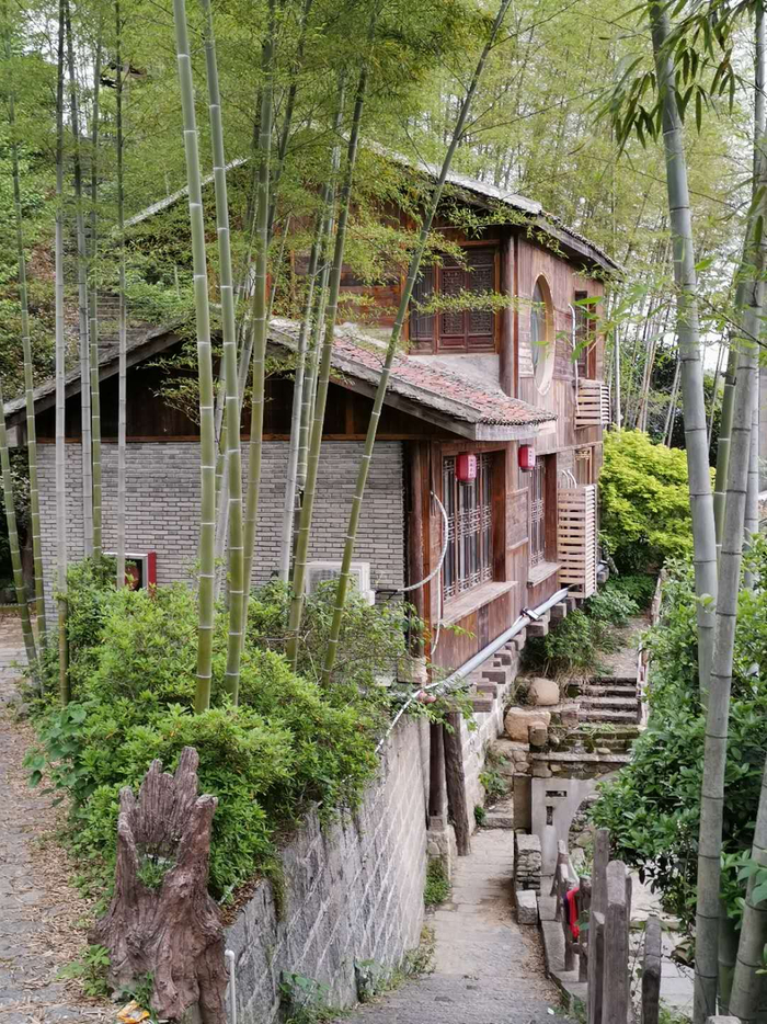 泊园茶村负责人许平表示，泊园茶村建设过程中，已经投入了2000多万元。图片来源 受访者供图