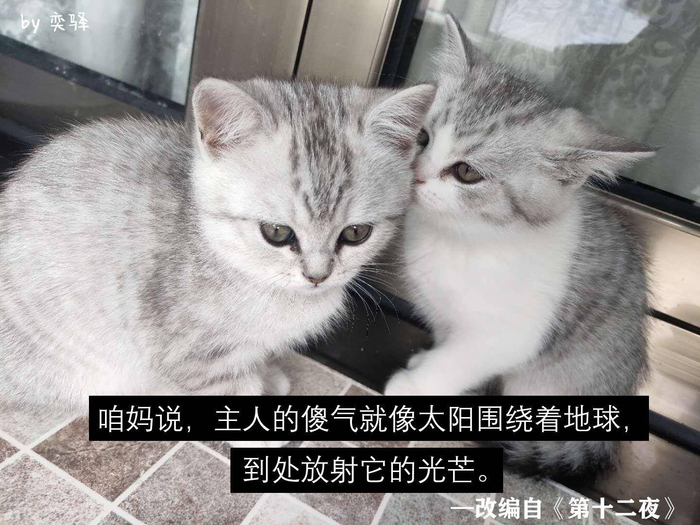 莎士比亚生日快乐！21位华语戏剧人献上他们的礼物