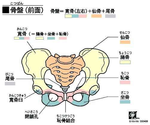 日本新晋17岁美少女九头身,好一双美腿刷爆岛国ins,原来腿好看是有诀窍的…