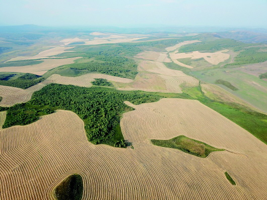 被农田侵占的山地草原（摄于9月6日）。 记者任军川摄