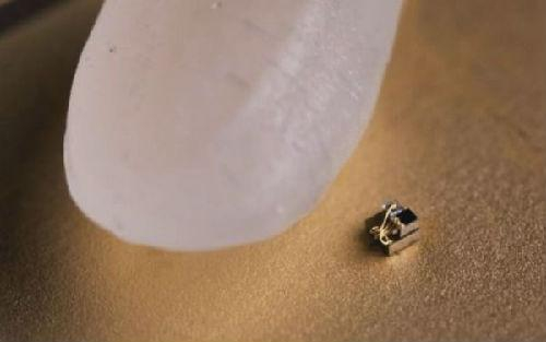 世界最小的计算机和一粒米作对比（美国密歇根大学网站）