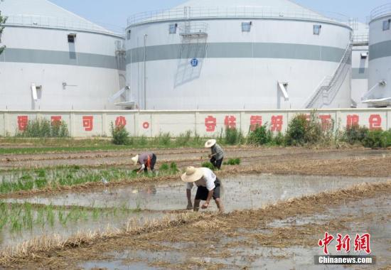 资料图。朱志庚 摄