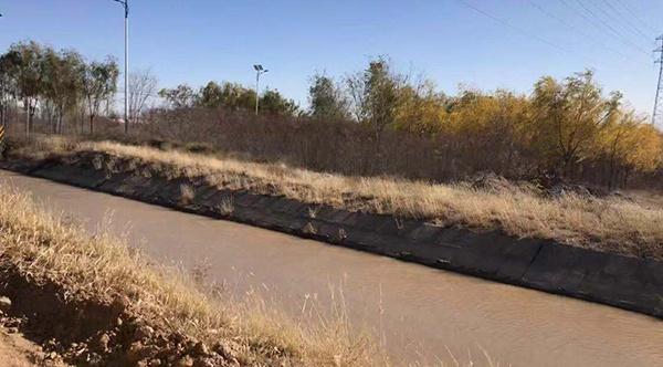 造纸厂产生的污水在混合黄河水后沿干渠流淌，最终流进林区进行灌溉。澎湃新闻记者 陈雷柱 图