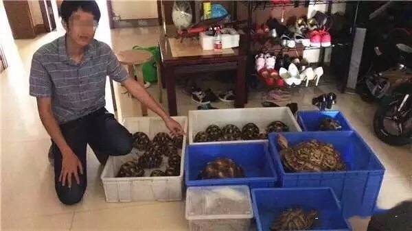 嫌疑人在指认待售的陆龟。公安部食品药品犯罪侦查局供图